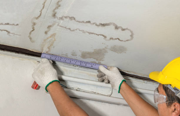 Reliable Water Damage Repair contractor in Wales, WI by Hirex Water Damage